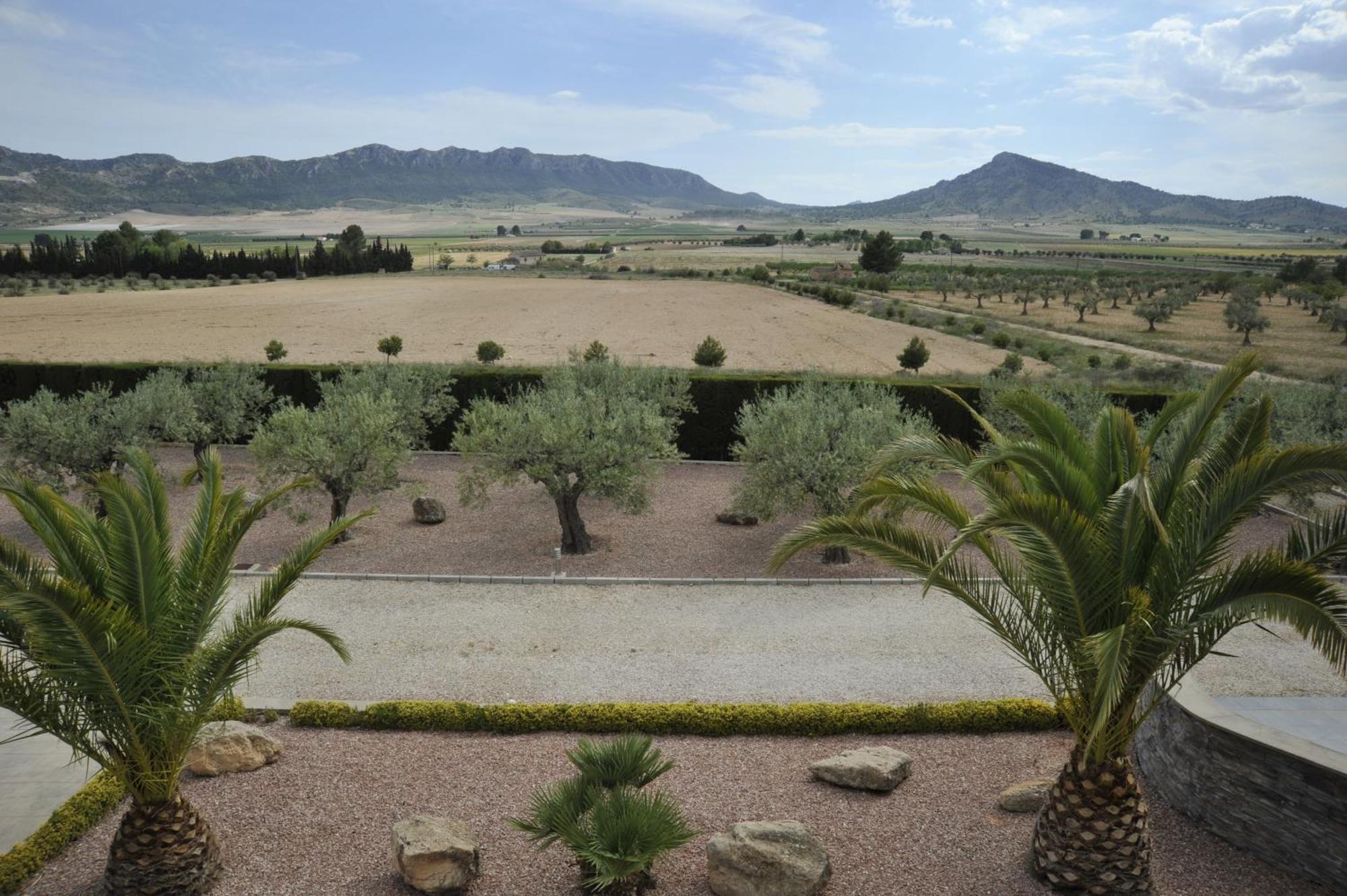 Villa Campo Premium Yecla Exterior photo
